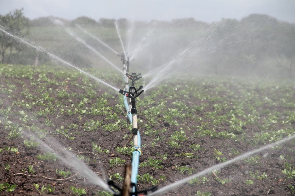 Photo of irrigation system working