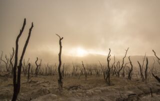 drought