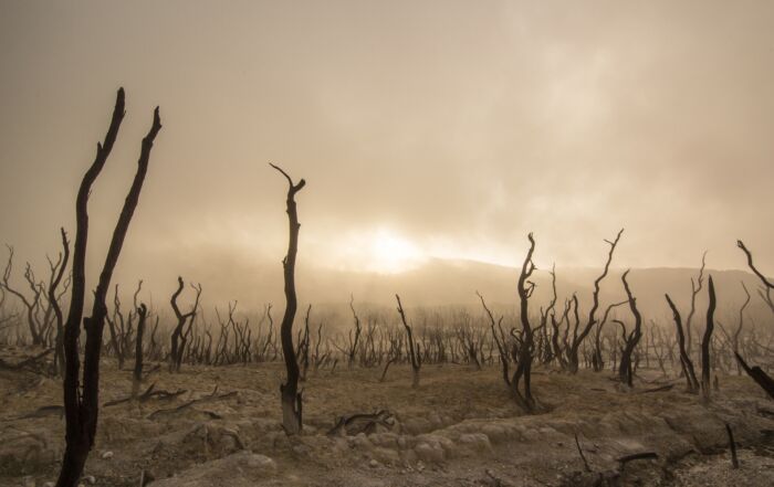 drought